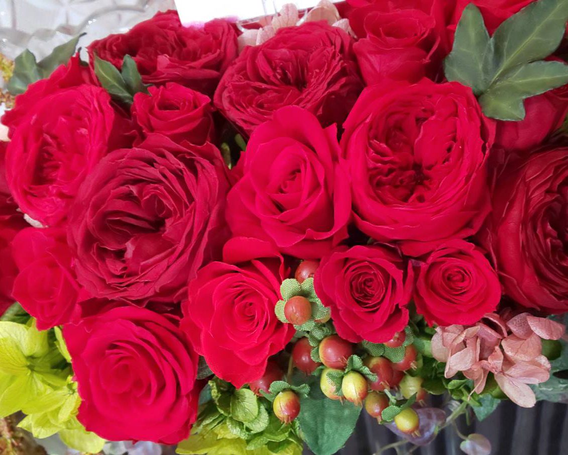 cropped-rose.jpg